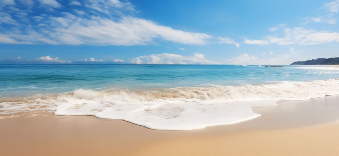 Sweeping beach and waves in the background, serene coastline.